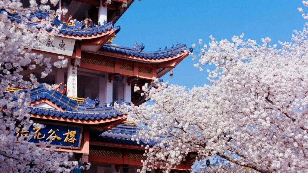 2025 TikTok网红如何精准对接United Kingdom品牌合作秘籍