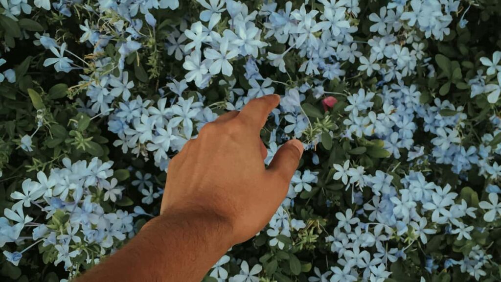 Huong dan thuc te cho creator o Viet Nam muon tiep can nhan hang an Mach qua Discord: cach tim ung nguoi, pitch thong minh, e xuat hop tac cong ong va meo tranh loi pho bien.