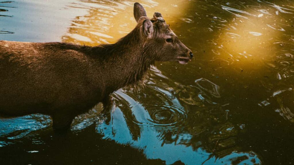 Huong dan thuc te cho creator Viet: cach tim, tiep can va thoa thuan voi thuong hieu Ecuador tren Snapchat e review san pham lam ep.