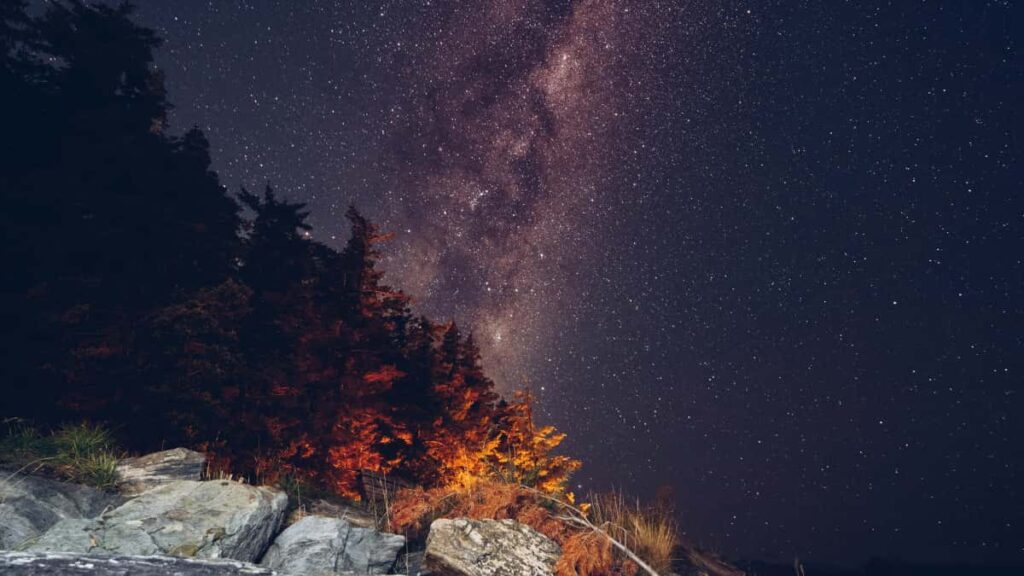 Huong dan thuc te cho advertiser VN: cach tim, vet va hop tac voi creator Twitter o Bac Macedonia e tiep can cac ngach thi truong nam 2025.