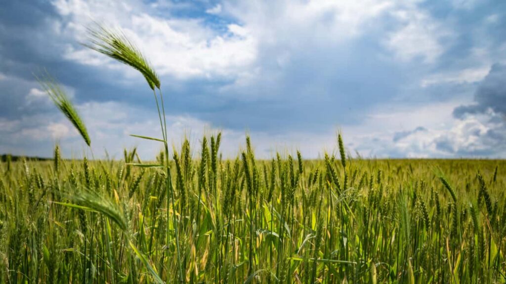 Huong dan thuc chien cho nhan hang Viet muon tim creator Discord o Peru e chay chien dich dua tren engagement phuong phap, kenh tim, rui ro va vi du ap dung.