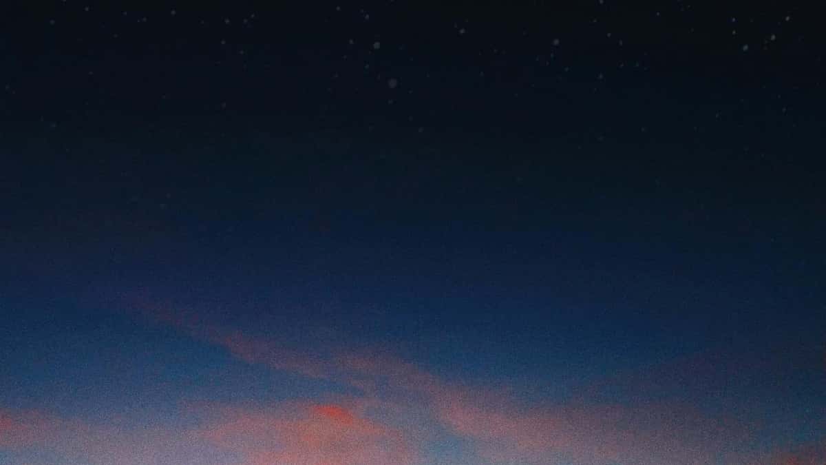 Advertiser VN: tìm creator Bilibili Ba Lan cho nội dung hậu trường