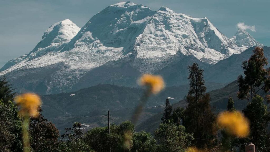 Huong dan thuc te cho creator Viet muon tiep can cac thuong hieu Jordan tren LinkedIn, trinh tu outreach, mau tin nhan, meo xac thuc va rui ro khi chia limited-time codes.