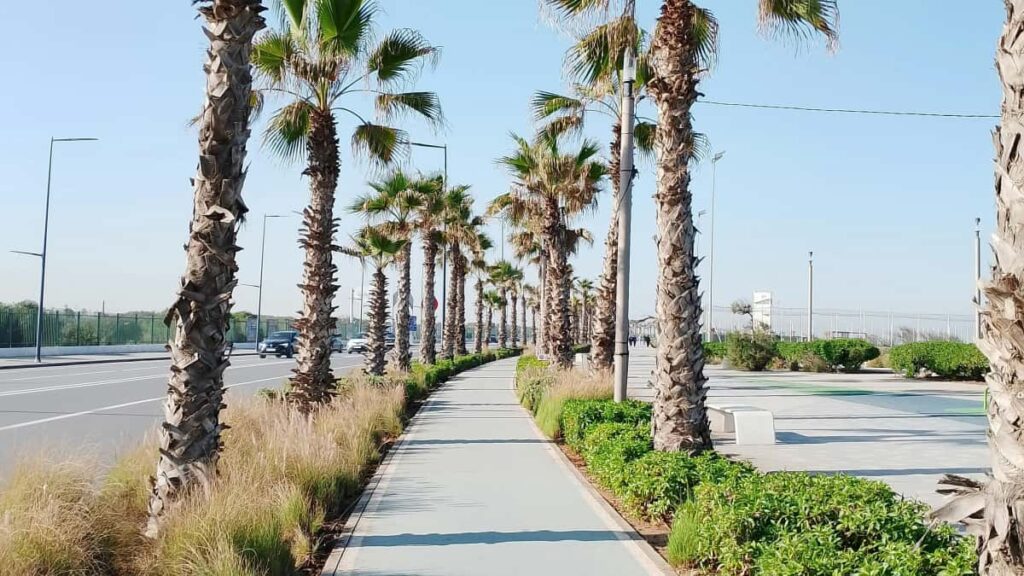 Huong dan thuc te cho creator Viet muon hop tac thuong hieu Qatar qua Roposo: chon noi dung, cach tiep can, cultural fit, vi du chien dich va checklist e tro thanh beauty ambassador.