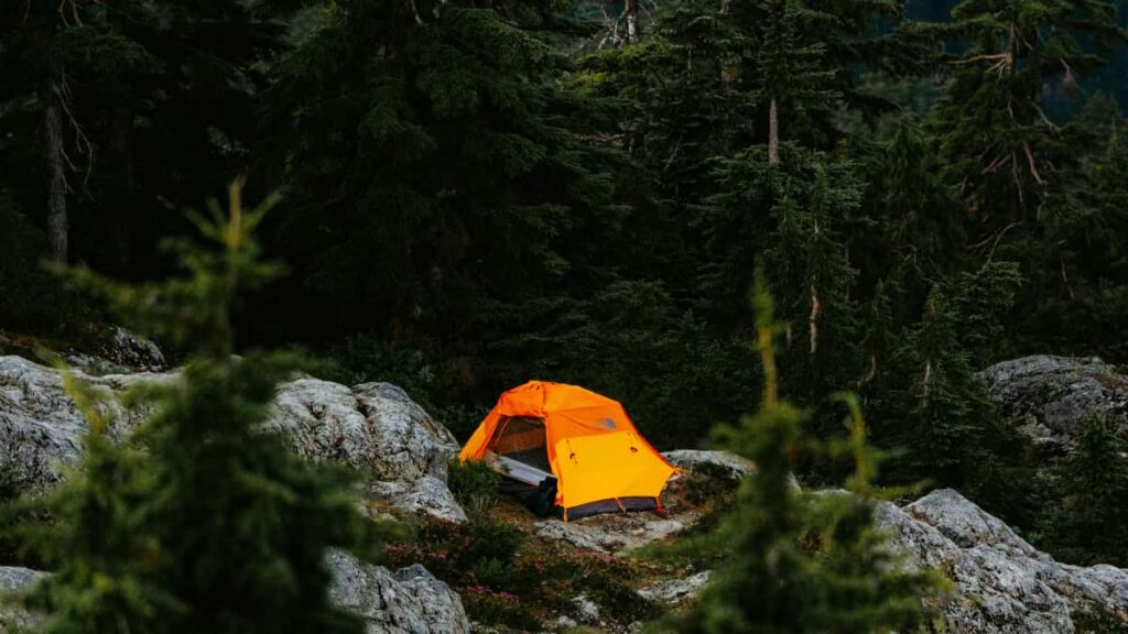 Huong dan thuc chien cho marketer Viet: cach tim creator Iran tren Threads, tan dung Communities va hop tac micro-influencer e tang traffic cho app fitness.