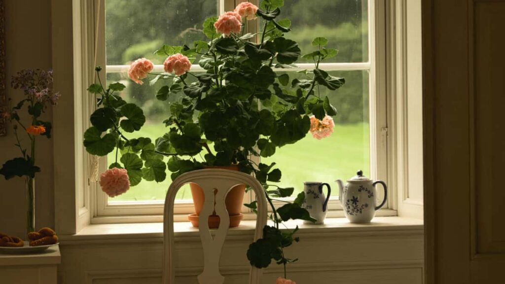 Huong dan thuc te cho nha quang cao Viet muon tim creator Zalo tai Ha Lan e chay chien dich skincare: kenh tim, cach chon, kiem tra an toan va mau hop ong co ban.