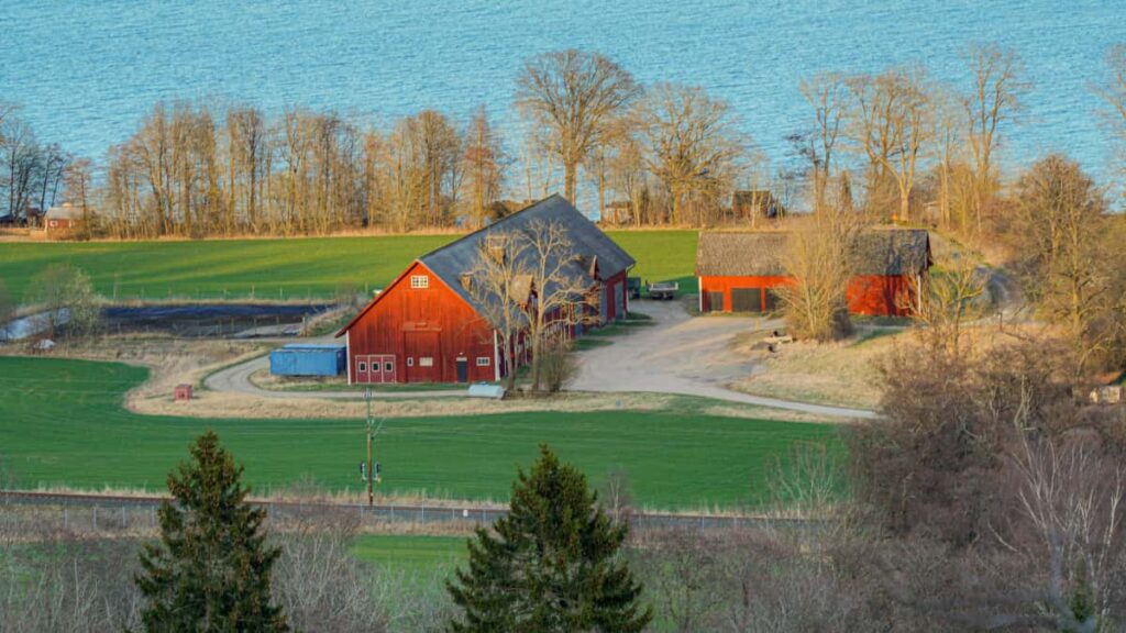 Huong dan thuc te cho creator Viet muon tiep can thuong hieu Bi xuat hien tren HBO Max, tu cach nghien cuu, outreach, dung pitch content en toi uu ho so va am phan hop ong.