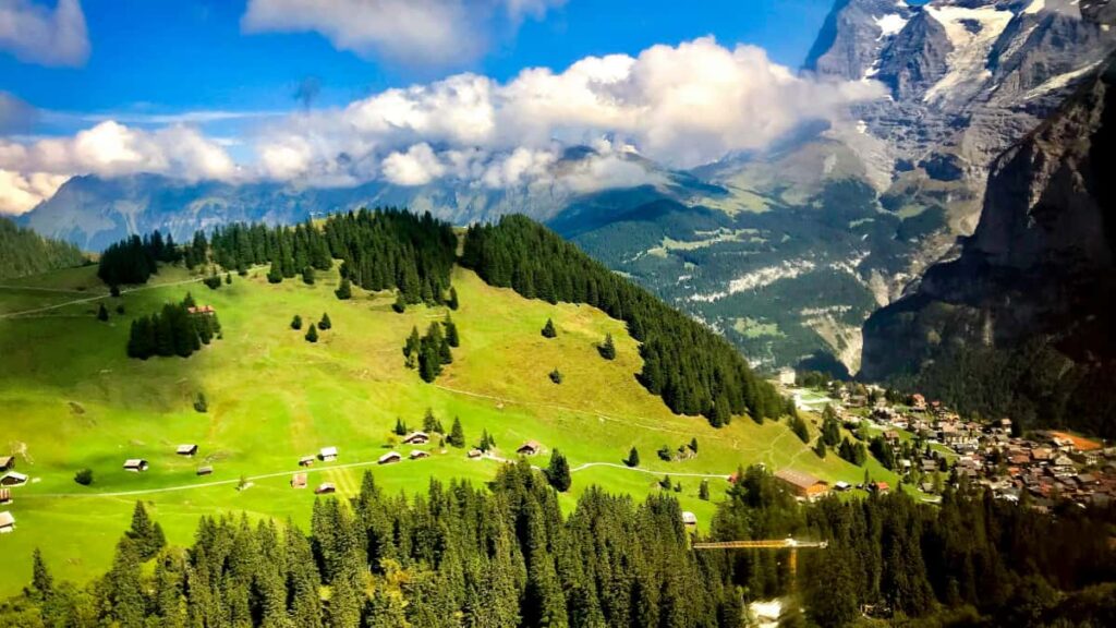 Cach cac creator Viet ket noi voi nhan hang Tanzania tren Twitch: nghien cuu thi truong, chien thuat outreach, va cach chuyen luot view thanh hop tac co tra phi.