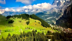 Cach cac creator Viet ket noi voi nhan hang Tanzania tren Twitch: nghien cuu thi truong, chien thuat outreach, va cach chuyen luot view thanh hop tac co tra phi.