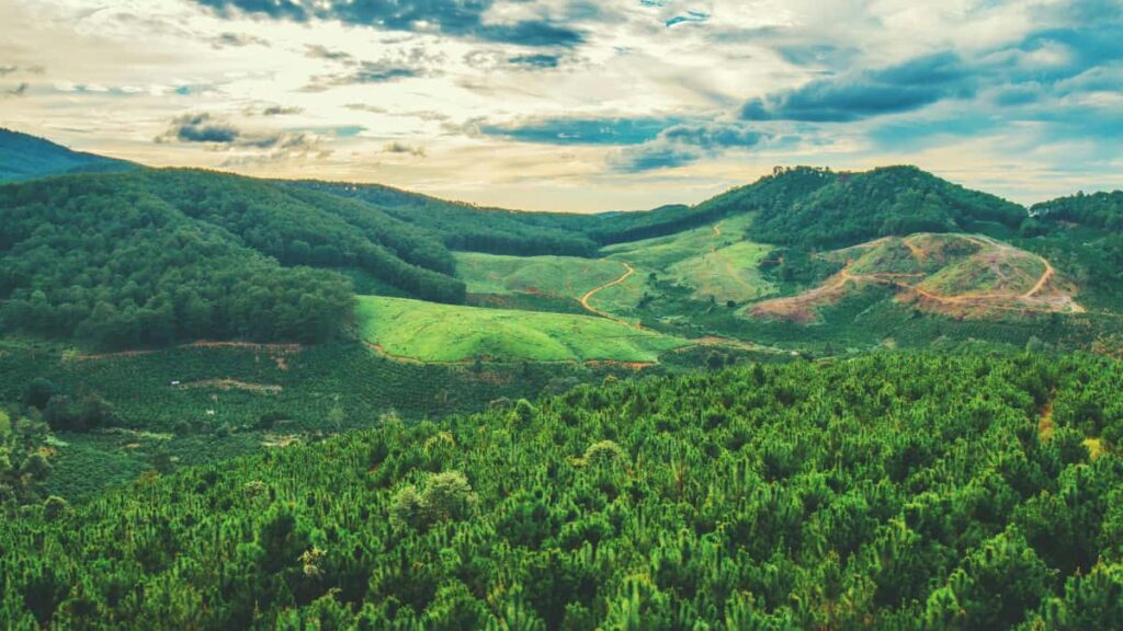 Huong dan thuc chien tim creator o Bangladesh chuyen review Taobao e gui PR package, kem checklist, vi du nen tang va meo van chuyen phu hop thi truong.