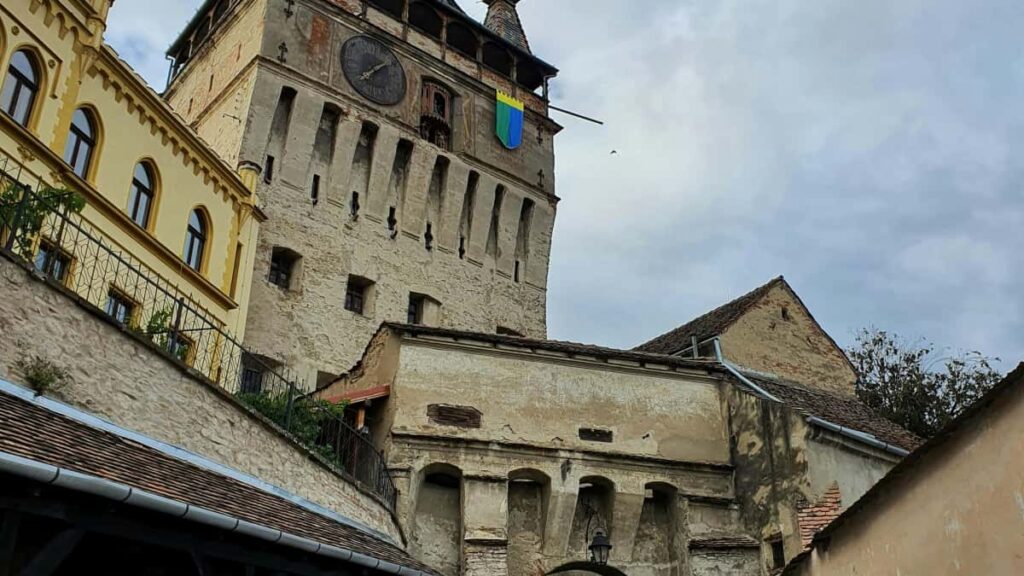 Huong dan thuc te cho nha quang cao VN muon tim creator Morocco lien quan HBO Max e cham toi khan gia ngach.