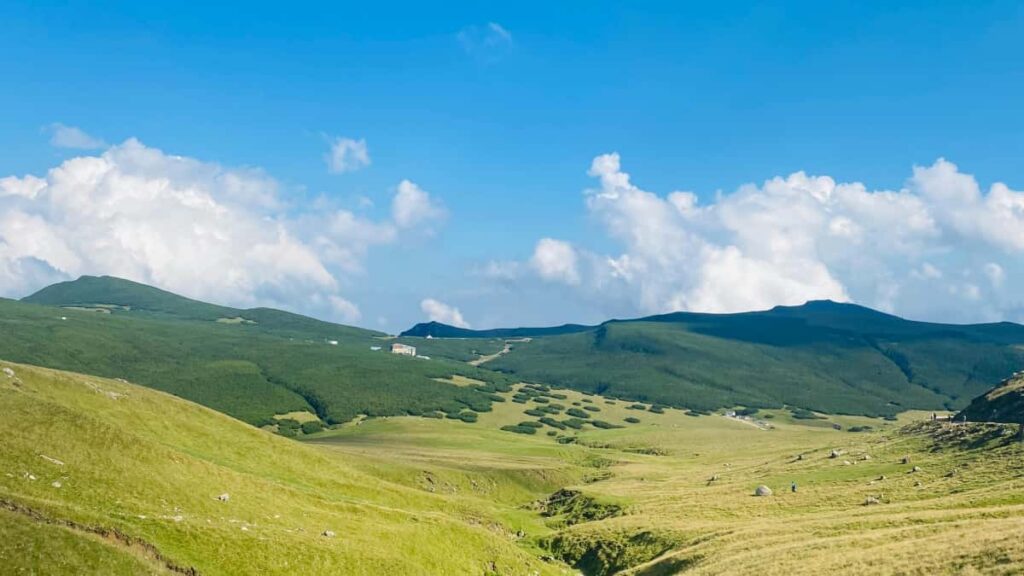 Huong dan thuc chien cho nha quang cao Viet tim creator tren Reddit Canada e chay chien dich tra theo tuong tac: ky thuat tim, anh gia engagement, hop ong va rui ro.