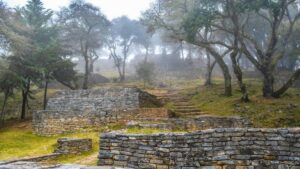 Huong dan thuc tien cho creator Viet muon ket noi voi thuong hieu Paraguay qua Netflix e tham gia beta launches tu cach tiep can, kenh ung nguoi en vi du va checklist hanh ong.