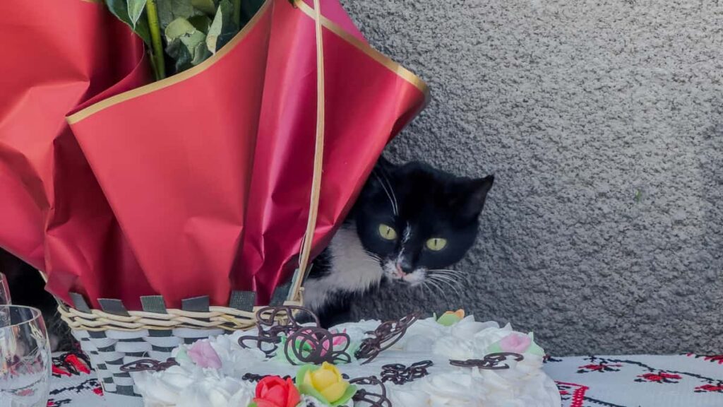 Huong dan thuc chien cho advertiser VN muon tim creator Shopee tai Peru e kich awareness cho ra mat my pham: kenh, chien thuat tuyen, KPI mau va luu y phap ly/o tin cay.