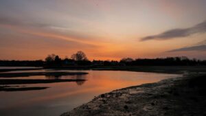 Huong dan thuc chien cho advertiser Viet muon tim creators OnlyFans tai My e tung limited edition drops: kenh, checklist kiem duyet, hop ong va cach o rui ro.