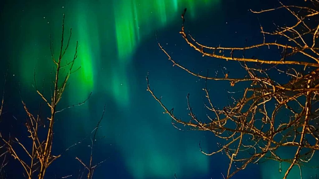 Huong dan thuc chien giup thuong hieu Viet tim creator Douyin tu Panama e ay manh UGC cho o du lich: chien luoc chon creator, checklist briefing, rui ro minh bach va cach o hieu qua.