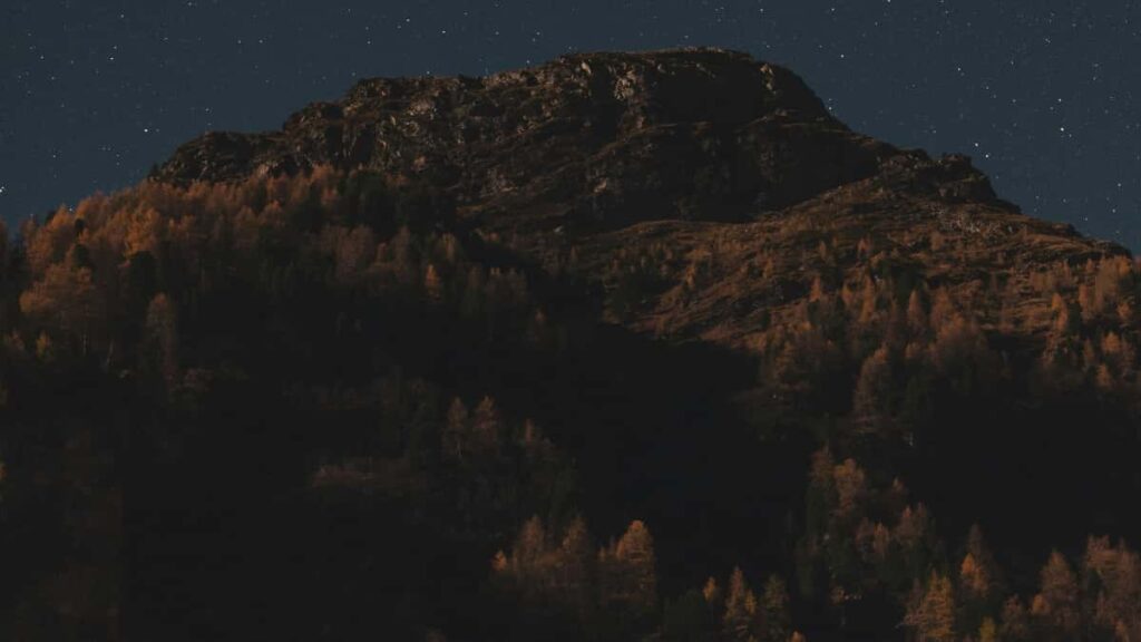 Huong dan thuc te danh cho creator Viet muon tiep can nhan hang o Bac Macedonia qua noi dung tren Disney Plus: chien luoc nham muc tieu, cach trinh bay loi ich san pham, kenh ho tro va o luong hieu qua.