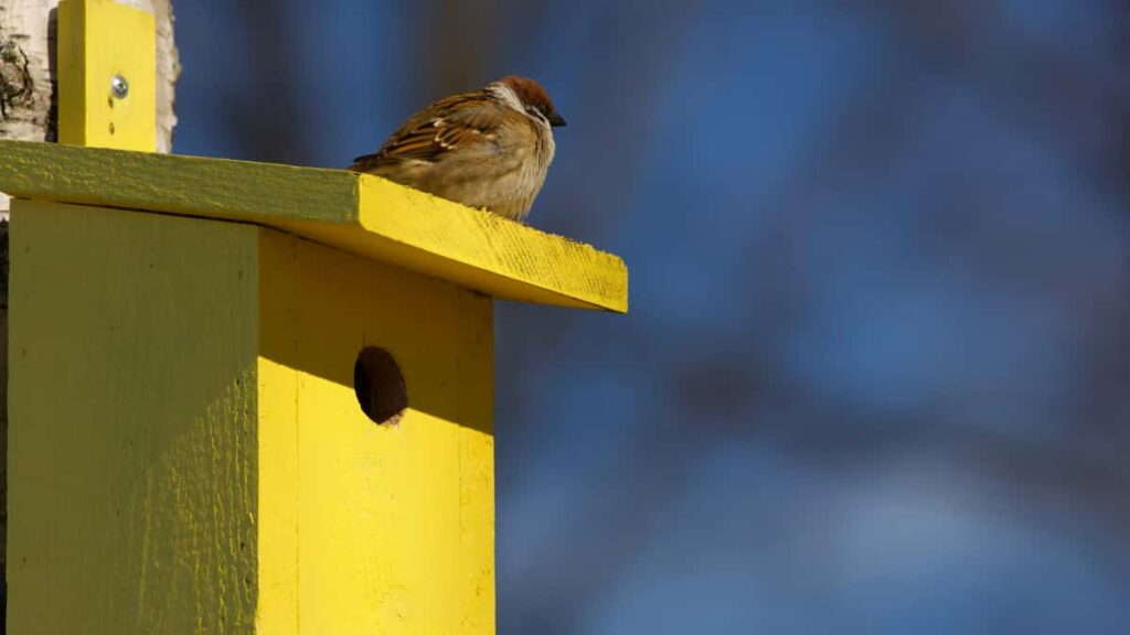 Huong dan thuc chien cho creator Viet muon tiep can brand Myanmar tren Vkontakte (VK): cach tim contact, chien thuat fandom, ru micro-influencer, va luu y phap ly + ky thuat.